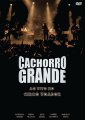 CACHORRO GRANDE AO VIVO NO CIRCO VOADOR (DVD) カショーホ・グランヂ アオ・ヴィーヴォ・ノ・シルコ・ヴォアドール（ＤＶＤ）