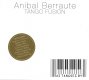 ANIBAL BERRAUTE TANGO FUSION AS TANGOES BY アニバル・ベラウテ タンゴフュージョンアズタンゴーズバイ